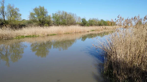 View Danube Tisza Danube Canal Early Spring April — Fotografia de Stock