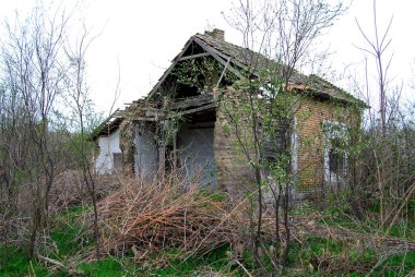 Dobrica, Banat, Voyvodina ve Sırbistan 'da çökmekte olan terk edilmiş eski bir ev.