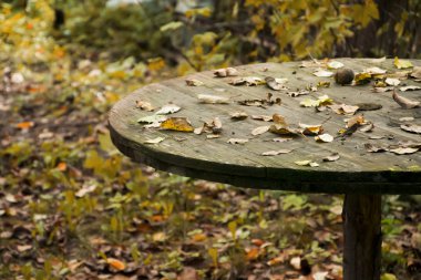 Eski masa düşen yapraklar