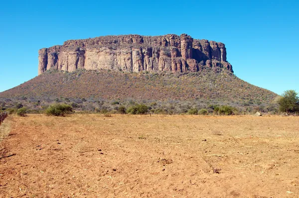 kranskop, Güney Afrika.