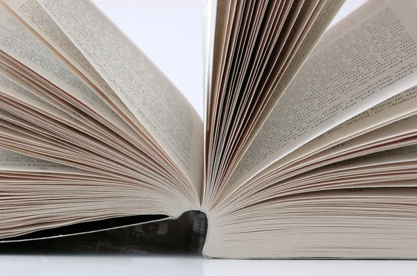 bir roman sayfalarından.