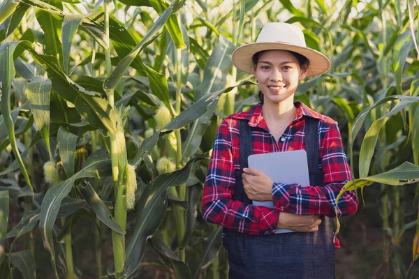 Inteligentny Rolnik Stojący Zielonej Tabletce Gospodarstwa Rolnego Kukurydzy — Zdjęcie stockowe