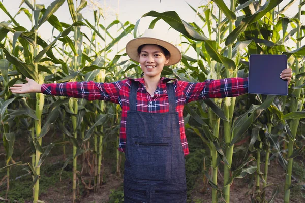 Smart Farmer Standing Green Corn Farm Holding Tablet — Stock Photo, Image