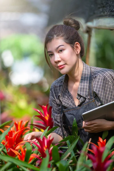 A beautiful farmer works on flowers in a greenhouse and takes notes on tablet. Spring and summer. Small floral business concept.