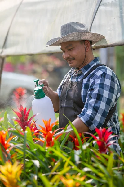 Садівники Працюють Над Рослинами Теплиці Весняно Літня Ідея Малого Квіткового — стокове фото