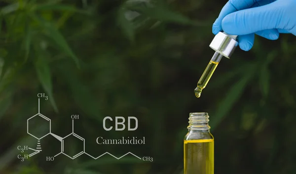Cbd Droplet Dosing Biological Ecological Hemp Plant Herbal Pharmaceutical Cbd — Stock Photo, Image