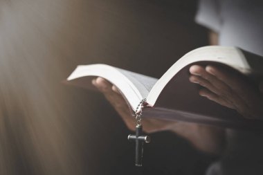  A woman holds Bible in his hands and studies the word of God.  Searching for truth in scriptures. praying for blessings of god.