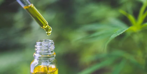 Drops Hemp Oill Cbd Cannabis Oil Pipette Medical Marijuana Concept — Stock Photo, Image