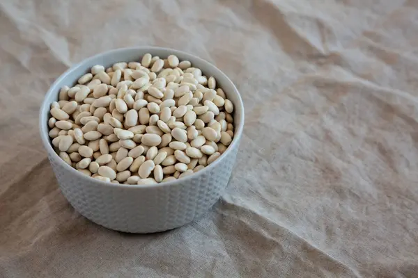 Raw Organic Dry White Beans Grå Skål Sidovy Kopiera Utrymme — Stockfoto