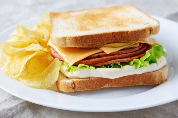 Ev yapımı sucuk ve patates kızartmalı sandviç. Düşük açılı olsun. Yakın plan..