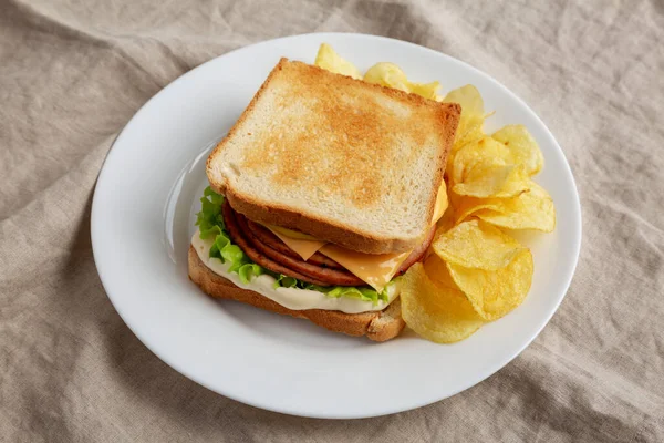 Tabakta patates kızartması ve peynirli sandviç, yan görünüm.. 