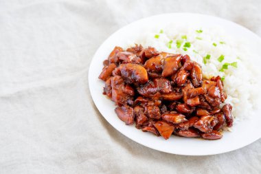 Beyaz pirinçli ev yapımı Teriyaki tavuğu. Boşluğu kopyala.