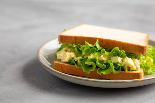Homemade Egg Salad Sandwich Lettuce Plate Side View Copy Space — Fotografia de Stock