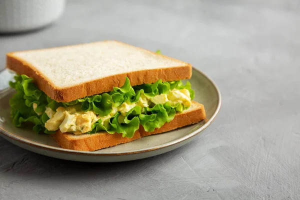 Homemade Egg Salad Sandwich Lettuce Plate Side View Copy Space — Stockfoto