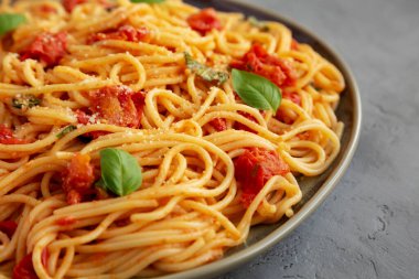 Gri arka planda taze domates soslu ev yapımı spagetti makarna. Yakın plan..