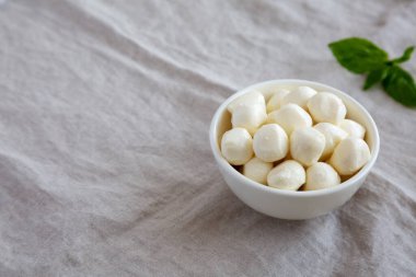Homemade organic mozzarella cheese in a bowl, side view. Copy space.