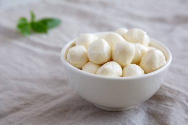 Homemade organic mozzarella cheese in a bowl, side view. 