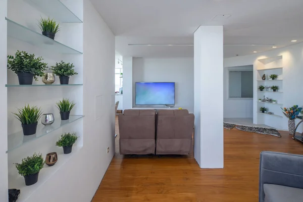 工作室公寓的现代内部。家居装饰植物。索法和电视 — 图库照片