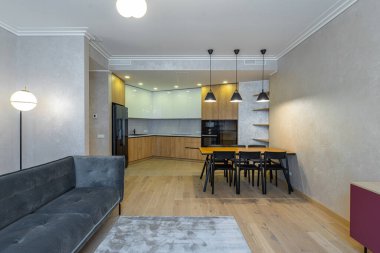 Lüks stüdyo dairenin modern iç mekanı. Beyaz ve ahşap mutfak. Siyah ev aletleri. Sıcak kanepe..