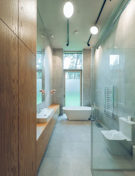 Сучасний інтер'єр ванної кімнати в скандинавському стилі. Розкішний приватний будинок — стокове фото
