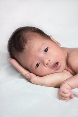 Erkek Bebek