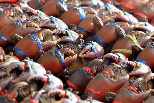 Krabben op verkoop op een lokale markt in thailand — Stockfoto