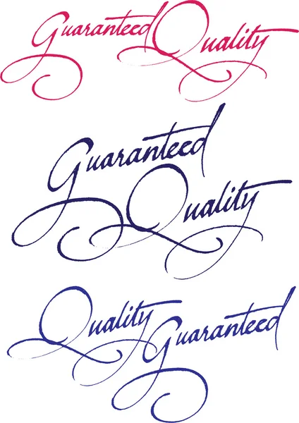 Ursprungliga handskrivna kalligrafi för din logotyp — Stockový vektor