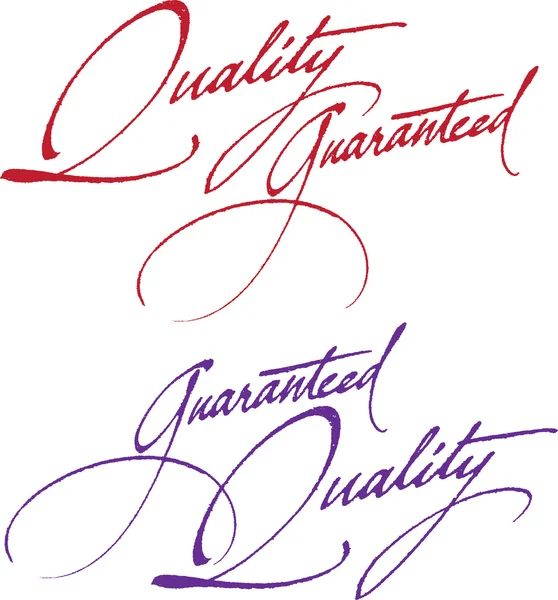 Caligrafía manuscrita original para su logotipo — Vector de stock