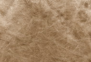 Beige leather suede background texture clipart