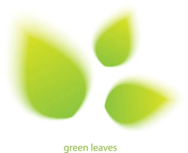 Blurry green vector leaves — Stock Vector