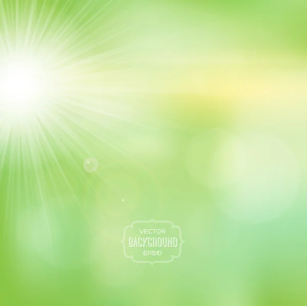 Vector blurry soft summer background with photographic bokeh effect and bright sun. — Stock Vector