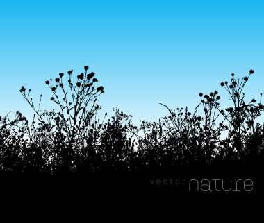 Vector nature background with lawn grass silhouette clipart