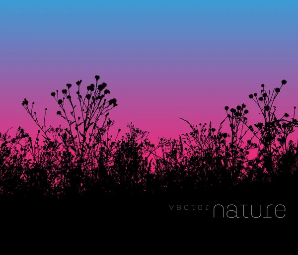 Fond de nature vectoriel avec silhouette pelouse au coucher du soleil — Image vectorielle