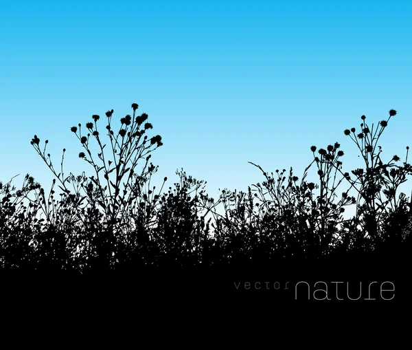 Vecteur de fond nature avec pelouse silhouette herbe — Image vectorielle