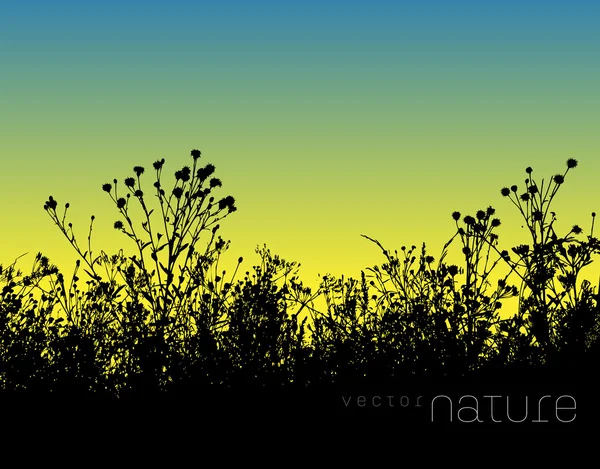 Vektor Natur Hintergrund mit Rasen Gras Silhouette — Stockvektor