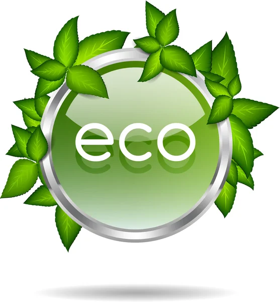 Shiny green glass vector badge with green leaves - eco — Stock Vector