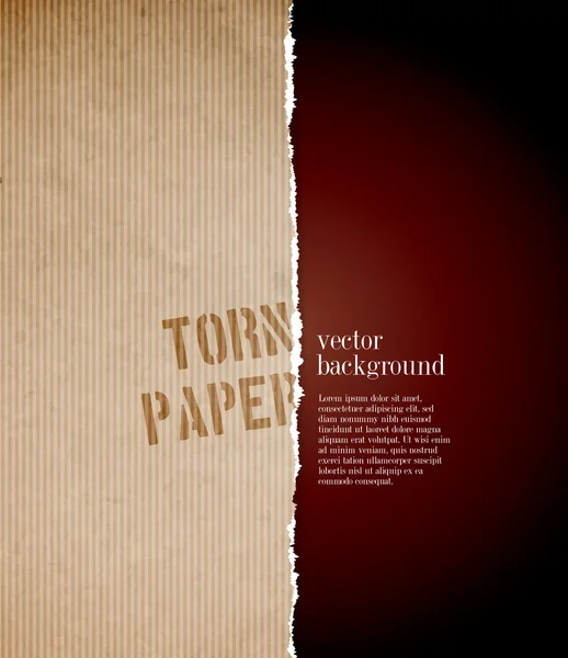 Векторний розірваний паперовий фон — стоковий вектор