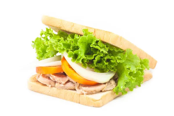 Panino al tonno — Foto Stock