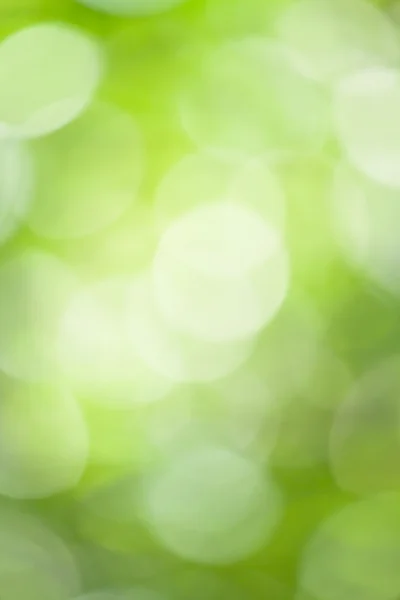 Bokeh verde — Foto Stock