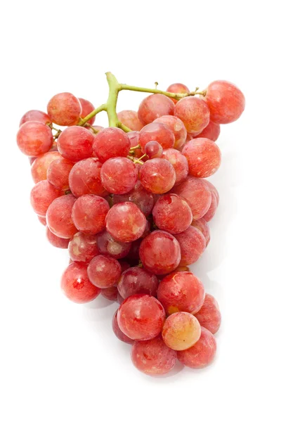 Grape — Stock Photo, Image