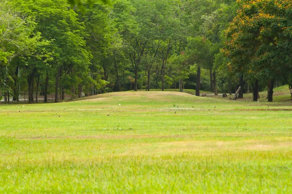 Green Park — Stock Photo, Image