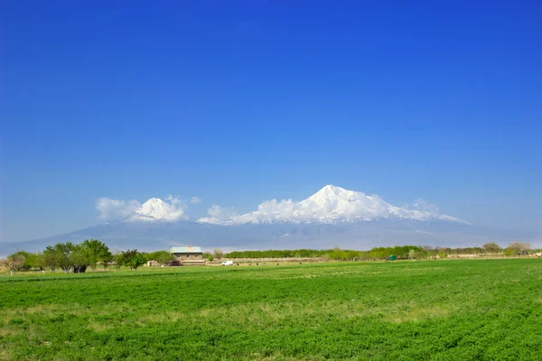 Mountain Ararat — Stock Photo, Image