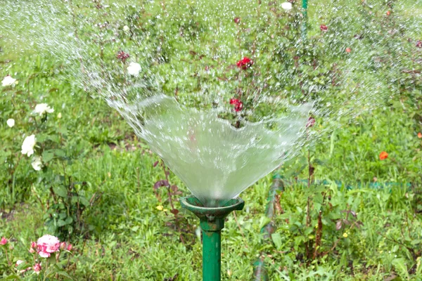 Spraying the water — Stock Photo, Image