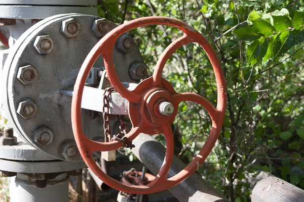 Tatlı kırmızı Vana