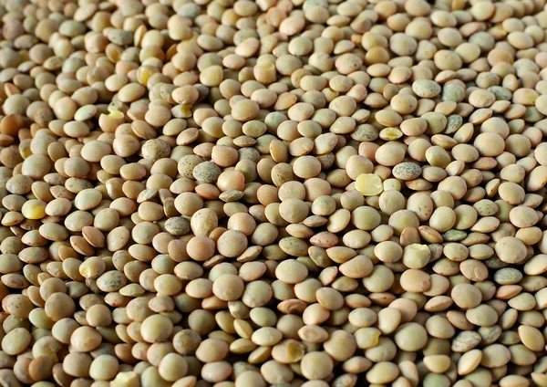 Lentils beans Stock Photo