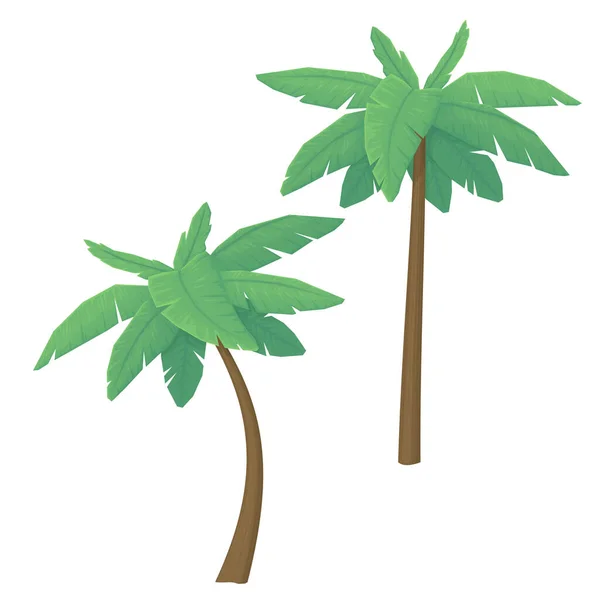 Two Palm Trees Isolated White Background Tropical Forest Vegetation Cartoon — Stock Vector