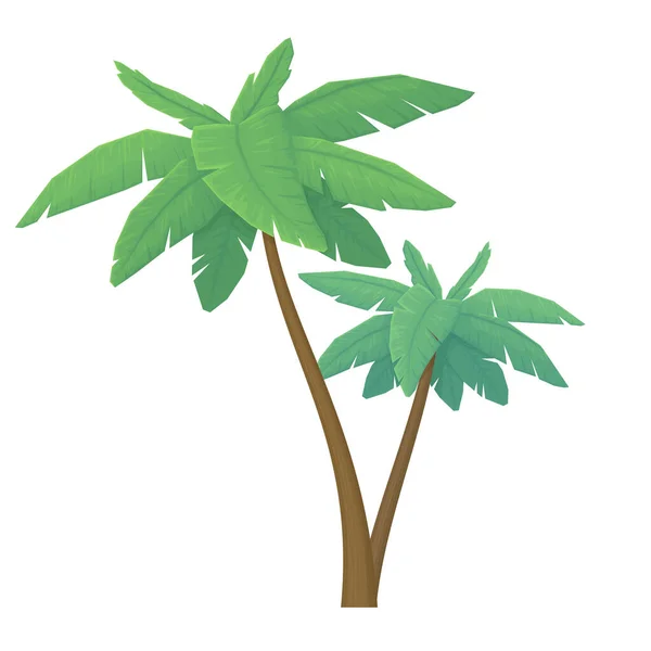 Couple Palm Trees Isolated White Background Tropical Plants Cartoon Style — Stock Vector