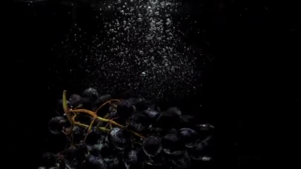 Raisins bleus à mouvement lent tombant dans l'eau transparente sur fond noir — Video