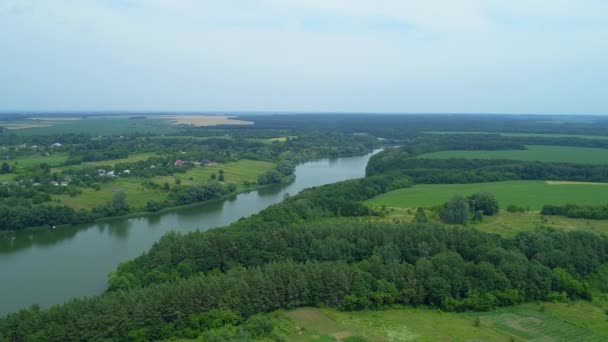 Вид с воздуха красивое озеро и лес — стоковое видео