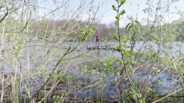Ветка деревьев качается на ветру на заднем плане рыбака, стоящего на деревянном мосту — стоковое видео